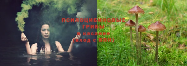 трава Наволоки