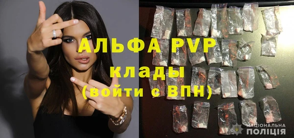трава Наволоки
