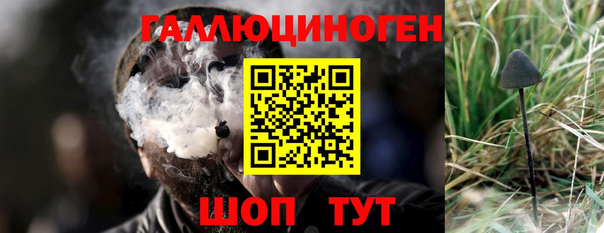 где можно купить наркотик  Псилоцибиновые грибы Psilocybine cubensis  Вход с VPN  Кстово 