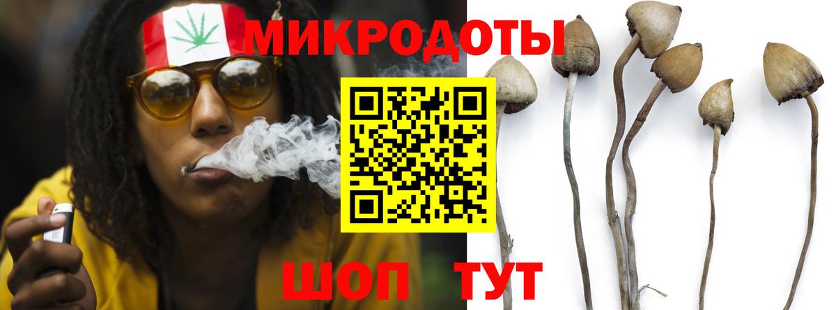 Псилоцибиновые грибы Psilocybine cubensis Кстово